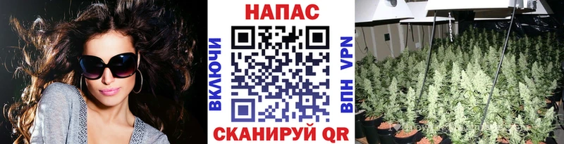 Виды наркоты Элиста МЕТАДОН  блэк спрут онион  Кокаин  ГАШ 