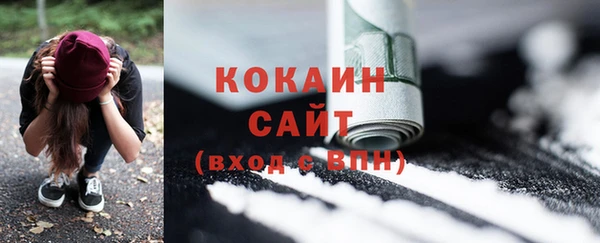 дурь Богородицк