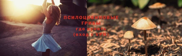 дурь Богородицк