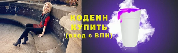 дурь Богородицк