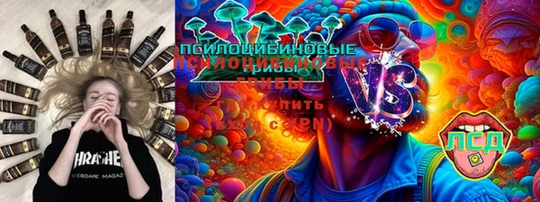 дурь Богородицк