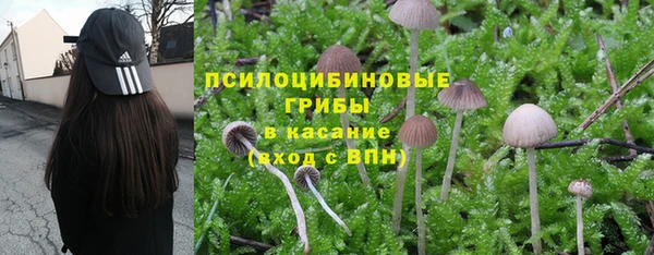 spice Богданович