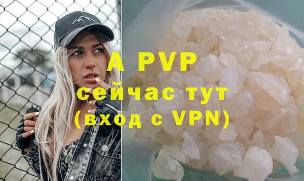 spice Богданович